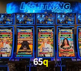 Seasonal Promotions 65q